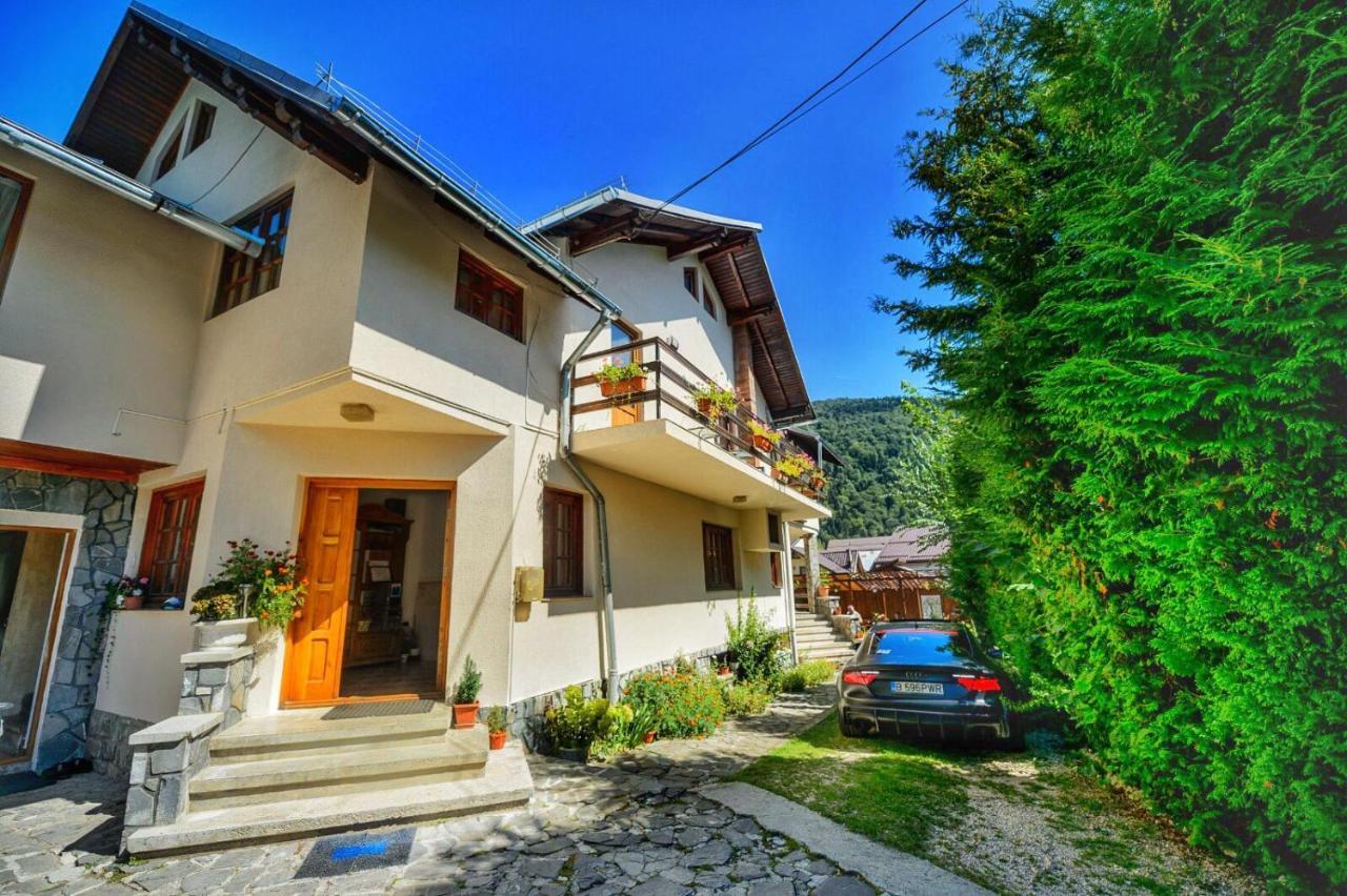 Amandra Chalet Синая Экстерьер фото