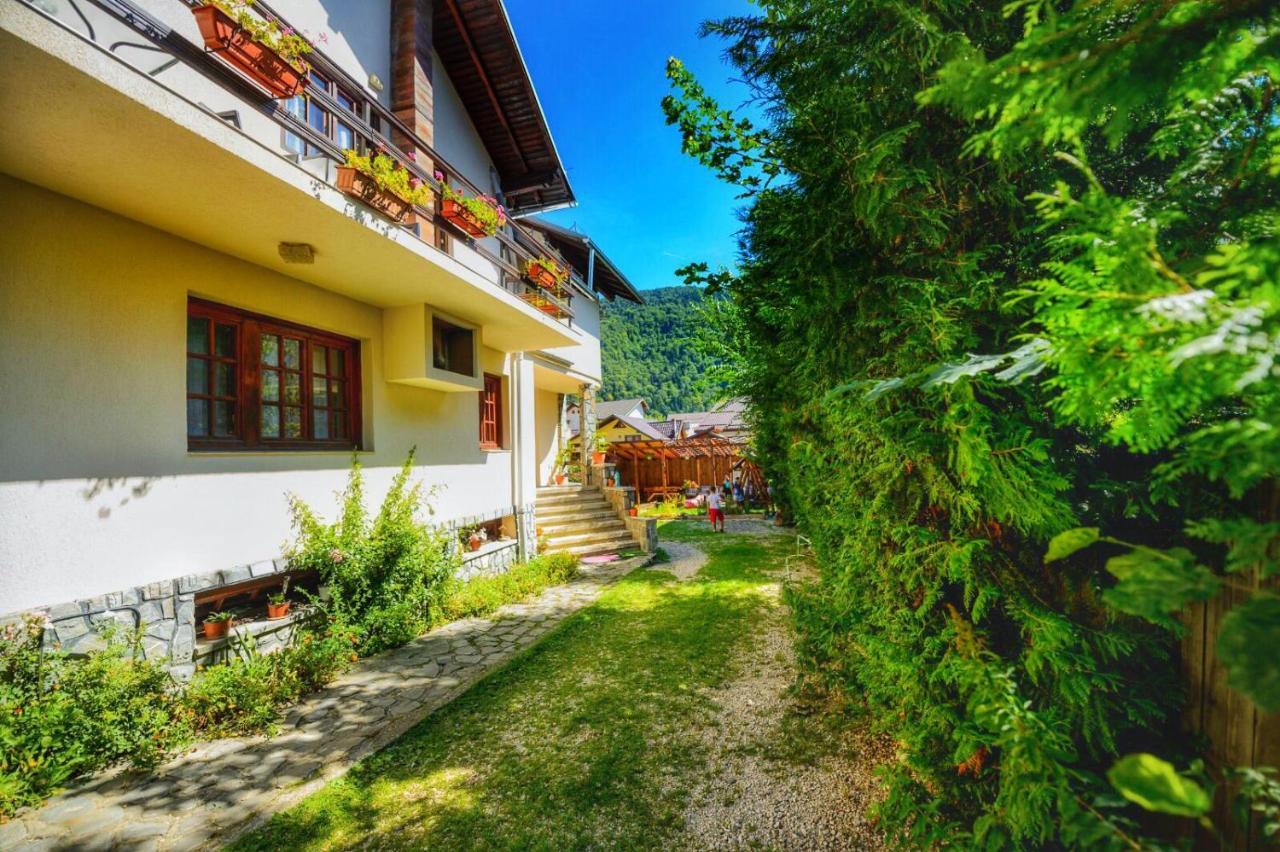 Amandra Chalet Синая Экстерьер фото