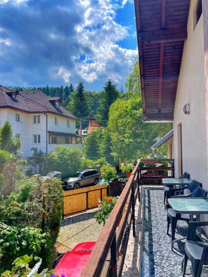Amandra Chalet Синая Экстерьер фото