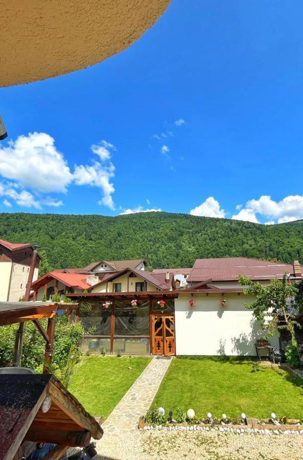 Amandra Chalet Синая Экстерьер фото