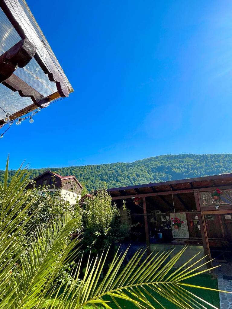 Amandra Chalet Синая Экстерьер фото